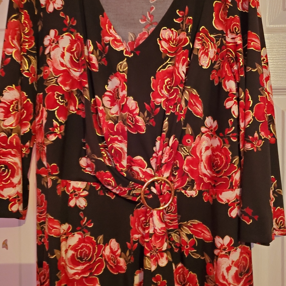 Dress - Picture 3 of 3